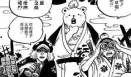 海贼王霍金斯爆料视频,海贼王世界背后的惊人真相