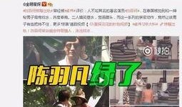 何小姐前任爆料视频,真相背后引人深思