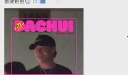 刘大锤爆料大全视频,揭秘娱乐圈幕后真相